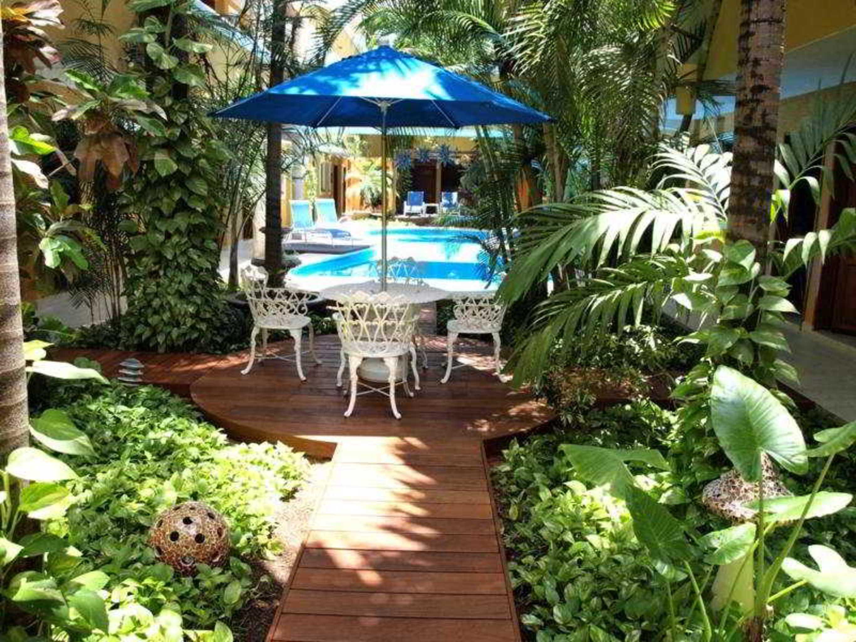 Hotel Las Golondrinas Playa del Carmen Restaurace fotografie